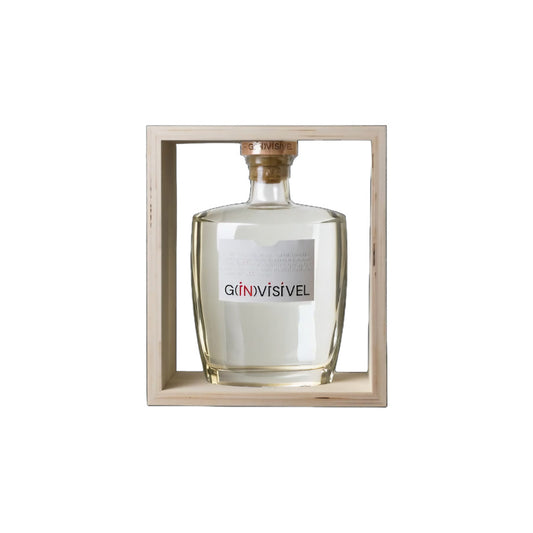 G(ÍN)VISIVEL